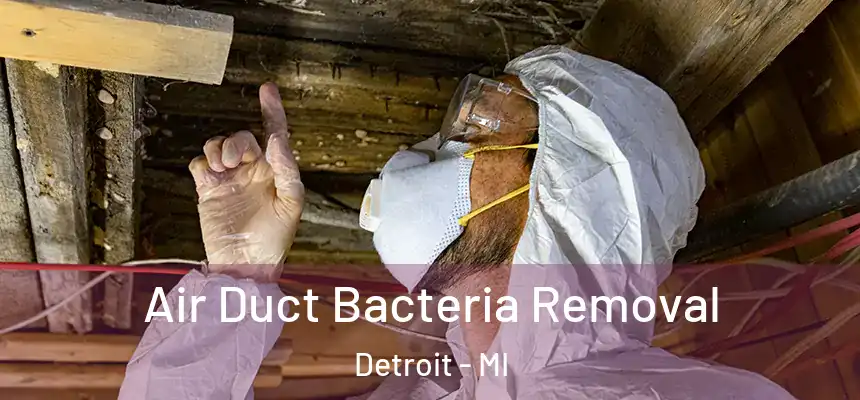Air Duct Bacteria Removal Detroit - MI