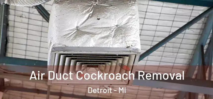 Air Duct Cockroach Removal Detroit - MI