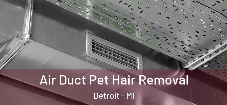 Air Duct Pet Hair Removal Detroit - MI