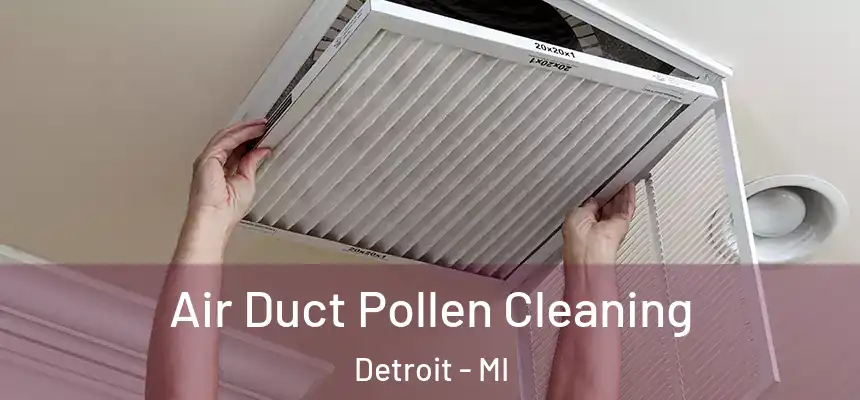 Air Duct Pollen Cleaning Detroit - MI