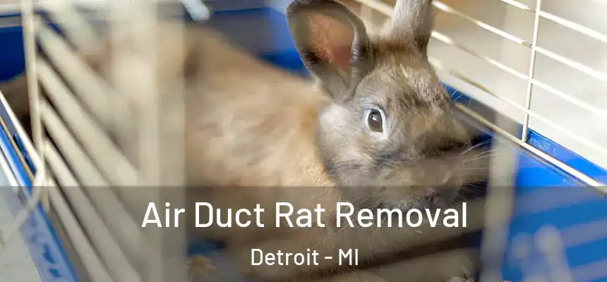 Air Duct Rat Removal Detroit - MI