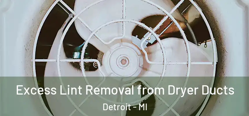 Excess Lint Removal from Dryer Ducts Detroit - MI