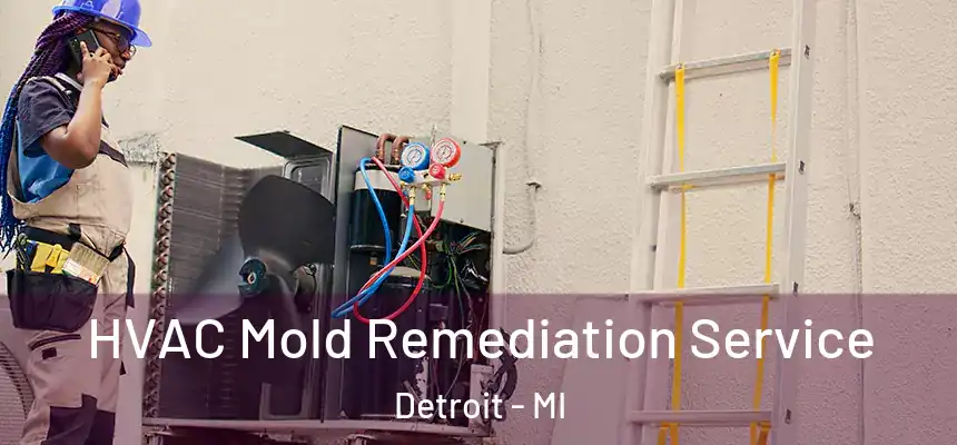  HVAC Mold Remediation Service Detroit - MI