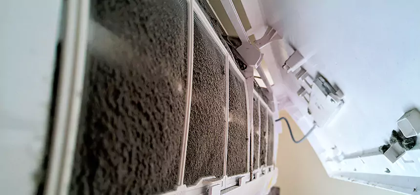 Preventive Air Duct Bacteria Removal in Detroit