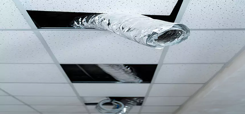 Affordable HVAC Sanitizing After Pest Removal in Detroit