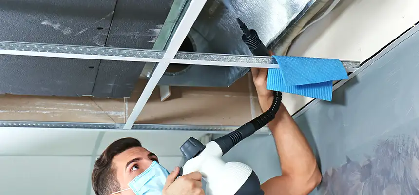 Our Air Duct Rodent Removal Services in Detroit, MI