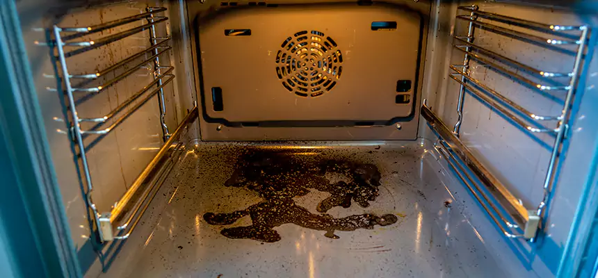 Our Dryer Vent Mold Cleaning Services in Detroit, MI