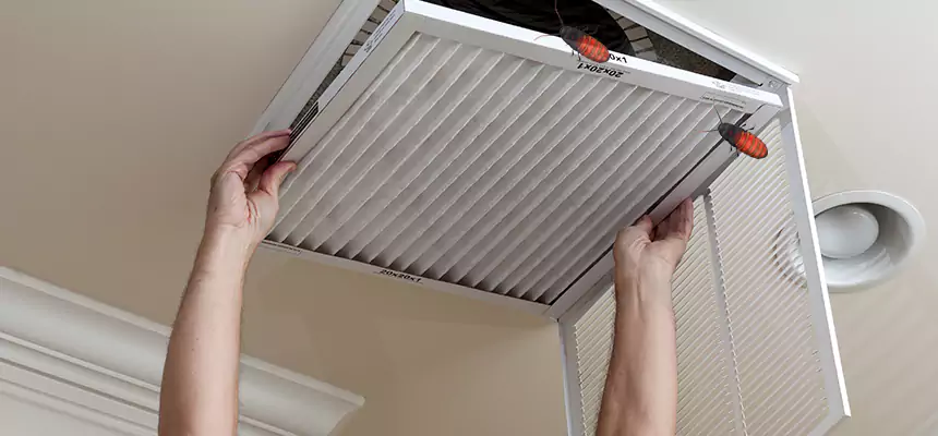Our Insect Removal from Air Ducts Services in Detroit, MI