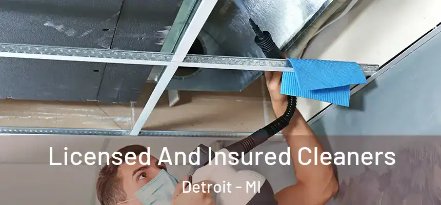 Licensed And Insured Cleaners Detroit - MI