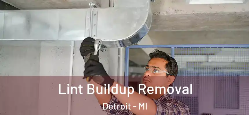 Lint Buildup Removal Detroit - MI