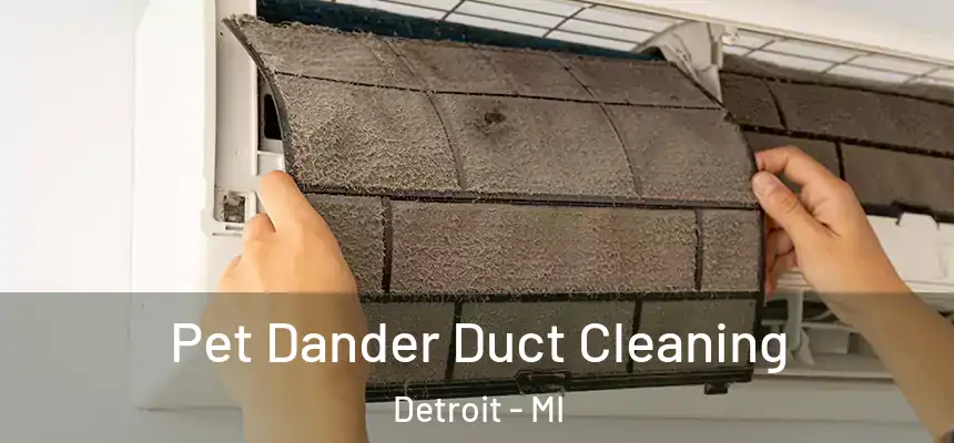 Pet Dander Duct Cleaning Detroit - MI