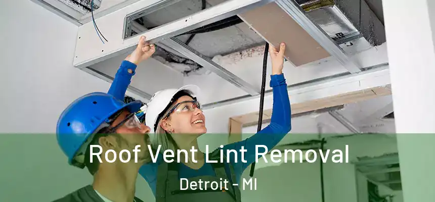  Roof Vent Lint Removal Detroit - MI