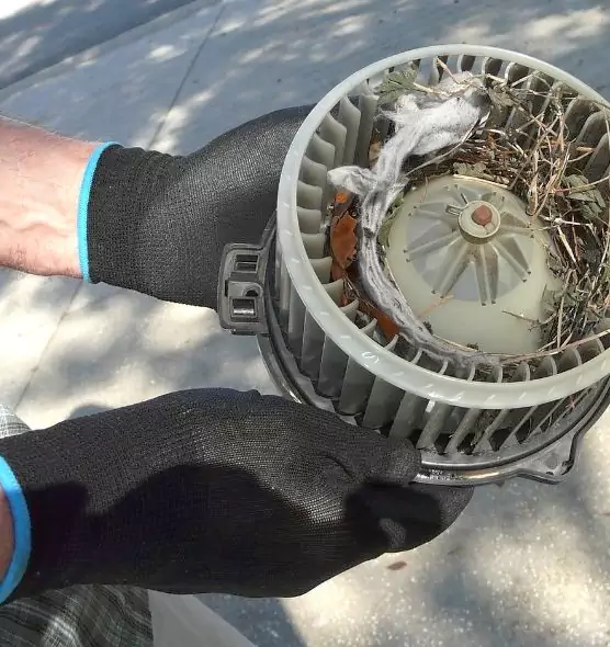 About Air Duct Mice Removal in Detroit, MI