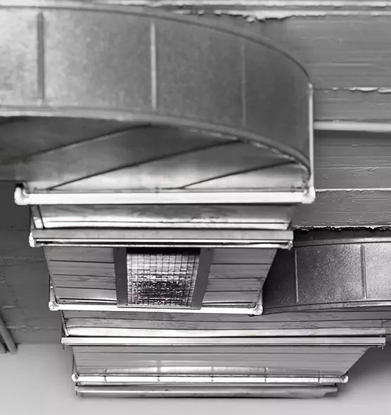 Professional Air Duct Pet Hair Removal in Detroit, MI