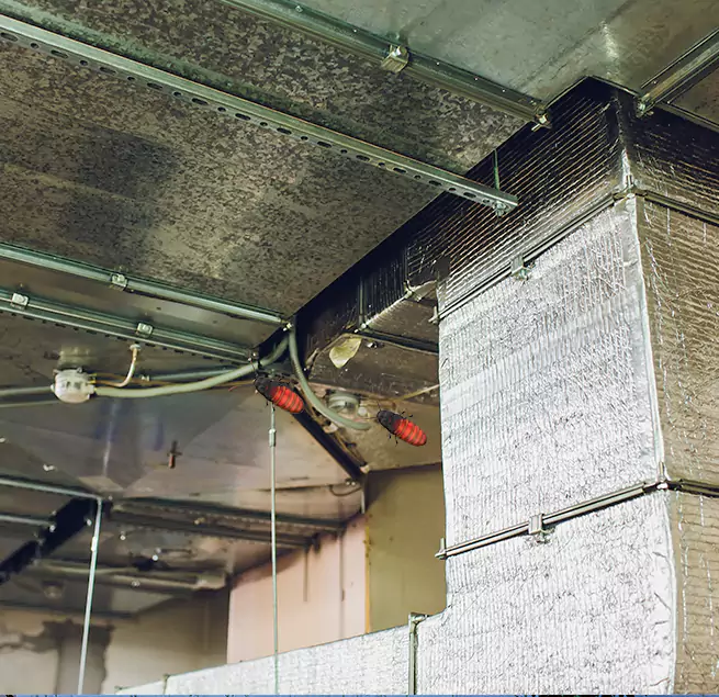 Why Homeowners & Businesses Trust Us in Detroit, MI?