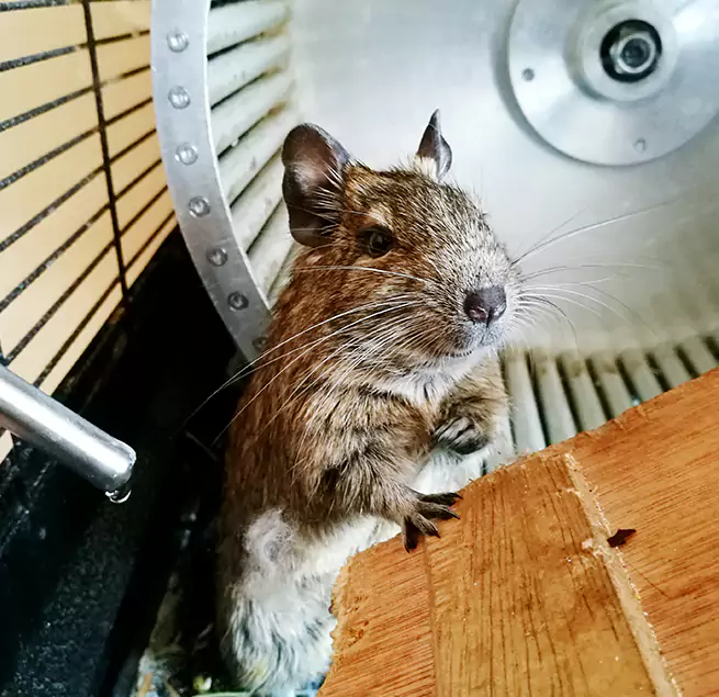 Why Homeowners & Businesses Trust Us Detroit, MI?